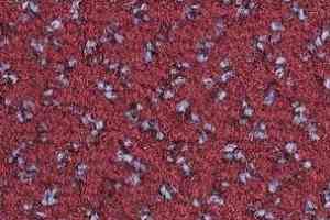 Ковролин Balsan Impression Roll 590 фото  | FLOORDEALER